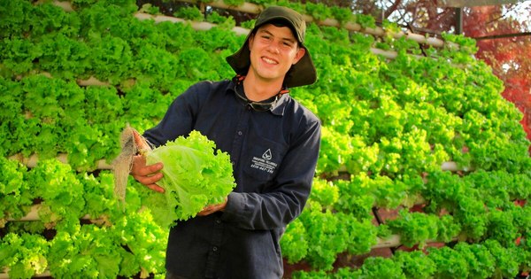 La Nación / La nueva generación que apuesta al trabajo de campo