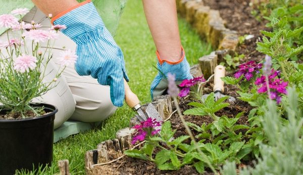 Cómo tener un jardín precioso durante todo el verano