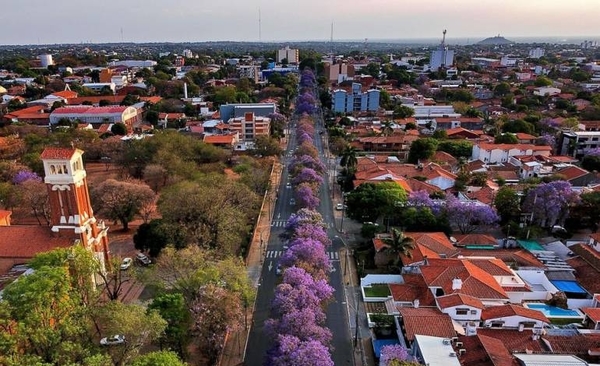 HOY / Asunción en filtro lila: temporada de jacarandas