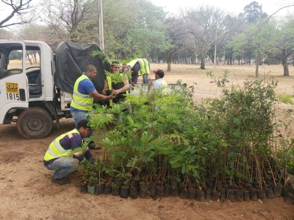 Plantarán 100 árboles como parte del plan de compensación ambiental del Corredor Vial Botánico - Megacadena — Últimas Noticias de Paraguay