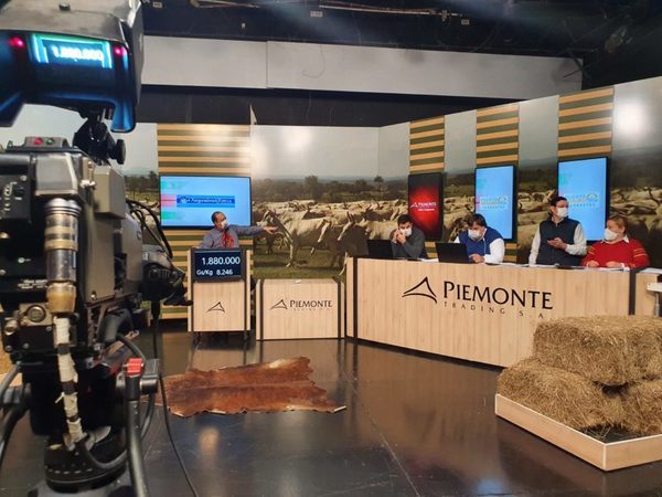 Un 80% de ventas y “mucho interés por animales pesados”, en feria de Piemonte