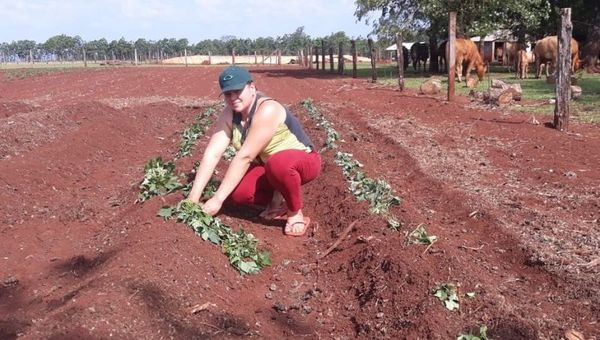 Mujeres rurales paraguayas se destacan por su labor y desempeño en la agricultura familiar