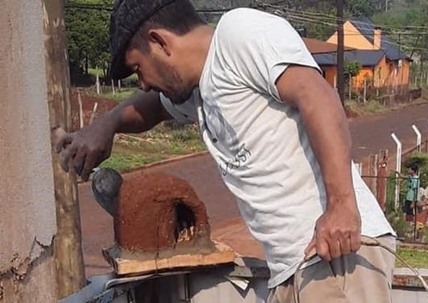 Crónica / Mudó al hornero en el balcón de su vivienda