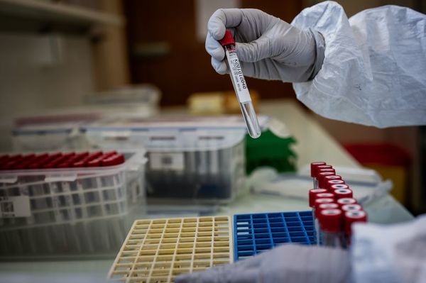 El ministro de Salud de Sudáfrica da positivo por coronavirus - Mundo - ABC Color