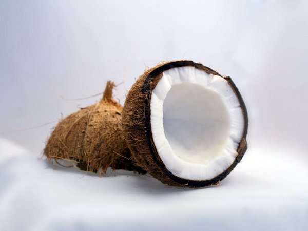 Aceite de coco destruye el virus de Covid-19, según científicos filipinos