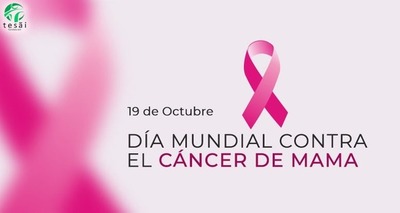 Hoy se celebra el “Día Internacional de Lucha contra el Cáncer de Mama”