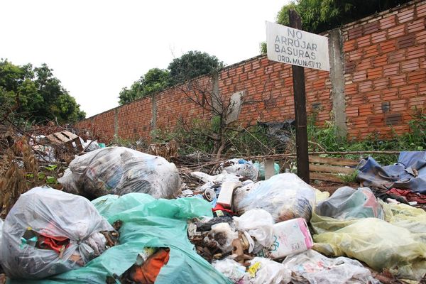 Reanudan campaña de lucha contra el dengue