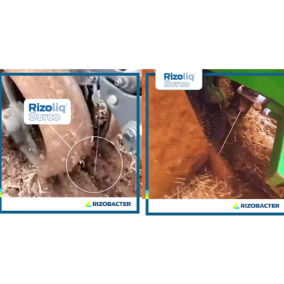 Rizobacter presenta tecnología en inoculación