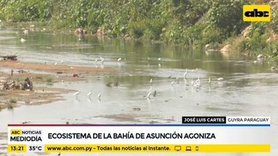 Ecosistema de la Bahía de Asunción agoniza - ABC Noticias - ABC Color