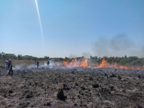 Gran incendio de pastizal en las cercanías de Albiroga - Nacionales - ABC Color
