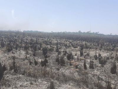 Santa Rita: 50 hectáreas de cultivo y bosque afectadas por incendio  - ABC en el Este - ABC Color