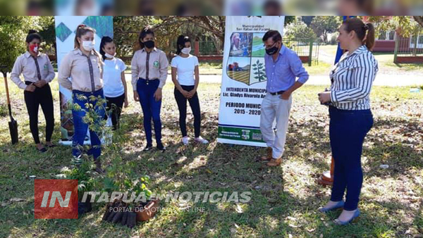 PROMUEVEN PLANTACIÓN DE ÁRBOLES NATIVOS EN APE AIME