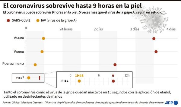 Descubren que el virus sobrevive por nueve horas en la piel humana - Mundo - ABC Color