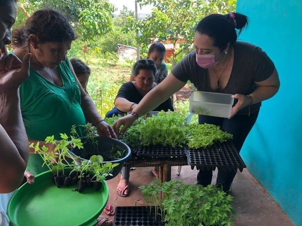 Distribuyeron más de mil mudas de hortalizas
