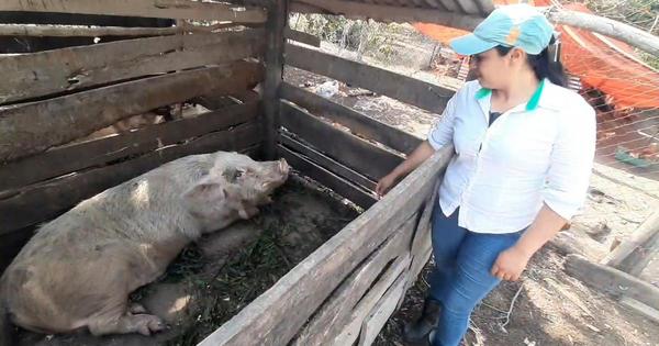 Se dedica a la cría y venta de animales para pagar sus estudios de Enfermería