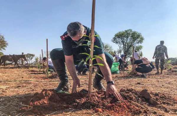 Inician plantación de 4.000 árboles en el predio del RC4 para instalar un corredor verde | Lambaré Informativo