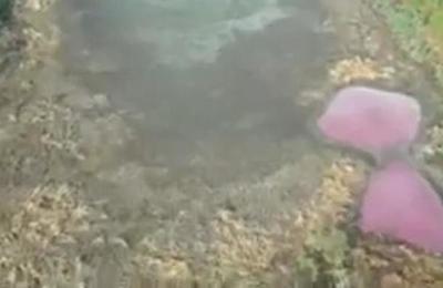 Caso Lago Cerro: Una desgracia ambiental que pudo ser evitada - C9N