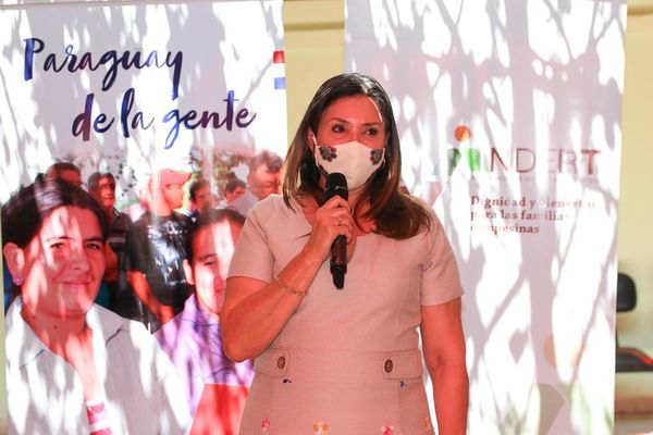 Primera mujer asumió en Indert, pero está limitada legalmente - Nacionales - ABC Color
