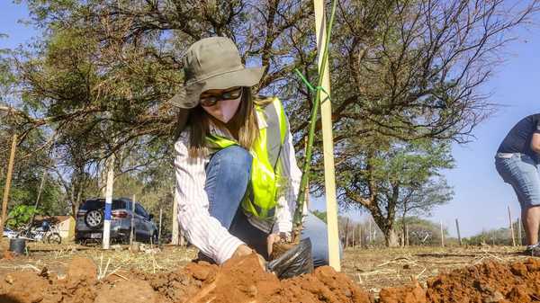 Plantarán 4.000 árboles nativos en el predio de RC4