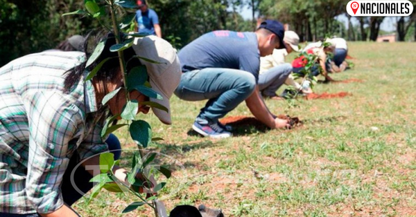 Diputados apoyan proyecto para plantar árboles durante campaña electoral