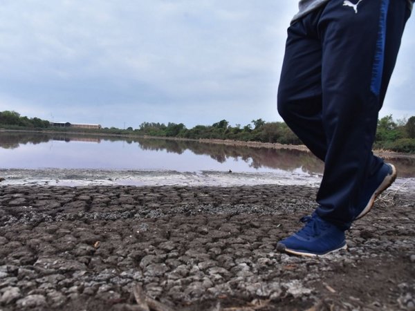 Mades busca financiación para recuperar Laguna Cerro, mientras sumario sigue