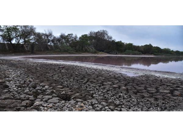 Analizarán contaminación en sedimentos de laguna Cerro
