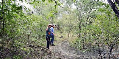 Legalidad de la tierra de los ñandéva de Loma está fuera de discusión - Nacionales - ABC Color