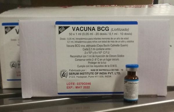 Llegaron al país 100.000 dosis de BCG para proteger a recién nacidos