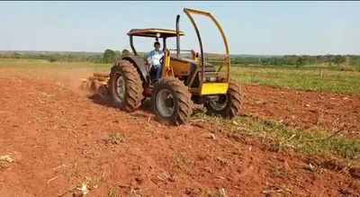 Intensifican siembra de productos agrícolas en Liberación - Nacionales - ABC Color
