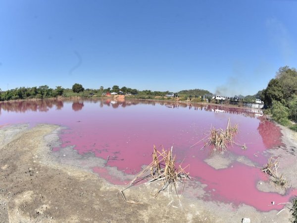 Grave contaminación de laguna Cerro es absoluta responsabilidad del intendente de Limpio, acusa concejal