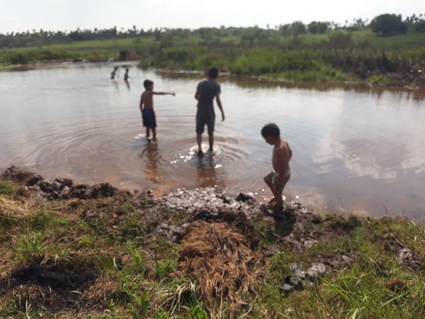 Santa Rosa; renacen emblemático arroyo Sanguri