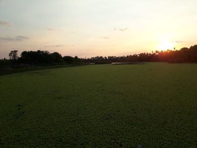 Abogados de Agro Inversora Occidental alegan legalidad en adquisición de tierras del Chaco - Nacionales - ABC Color