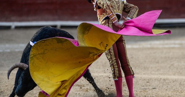 La Nación / La pandemia priva a Perú de las populares corridas de toros