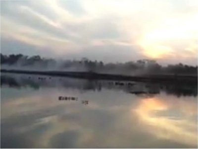 Vecinos de San Cosme denuncian daño ambiental causado por fumigaciones