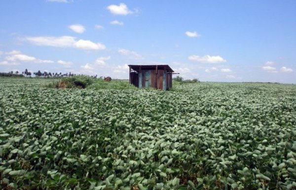 'INDERT es encargada de distribución de tierras para campesinos, pero es la misma que las concentra y hace negociados'