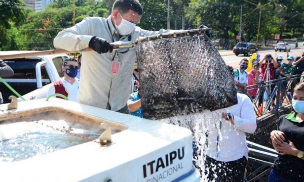 Siembran 7.000 peces en el lago de la República para mejorar la calidad del agua – Diario TNPRESS