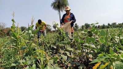 La agricultura familiar como alardeo del gobierno y lamento histórico de empobrecidos labradores - La Mira Digital