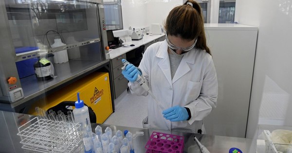 La Nación / Muere voluntario de AstraZeneca y Oxford en Brasil