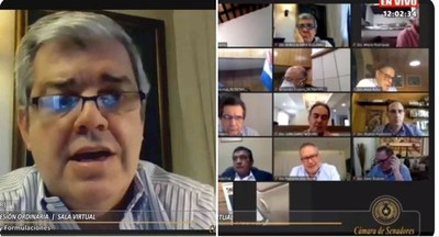 Por segunda vez, el Senado tratará la pérdida de investidura de Friedmann