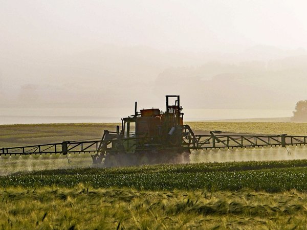 La bioeconomía, aliada para la recuperación económica en agricultura