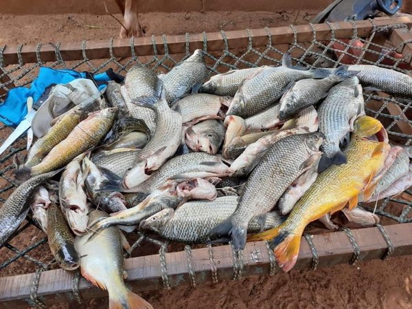 Denuncian mortandad de peces en el río Tebicuarymi
