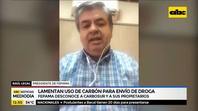Madereros desconocen a Carbosur y a sus propietarios - ABC Noticias - ABC Color