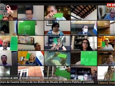 Senado da vía libre a proyecto que otorga administración de bonos al Ejecutivo