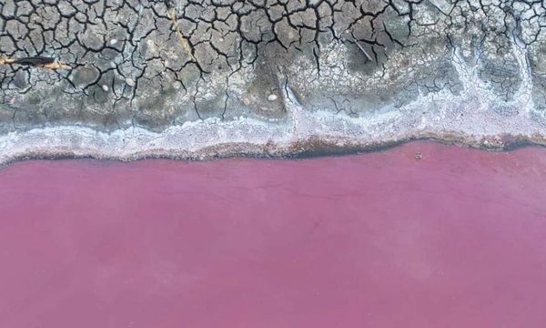 Situación de Laguna Cerro empeora ante ceguera de autoridades