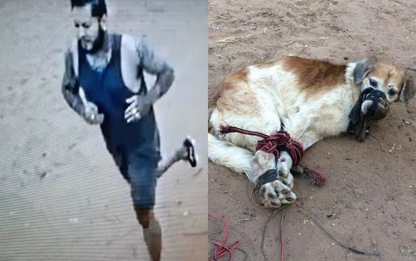 Muestran al hombre que habría tirado a un perro amordazado y atado de patas - Noticiero Paraguay