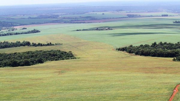 Fuertes enfrentamientos entre bancadas por tierras malhabidas