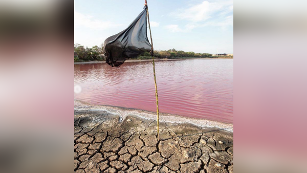 Laguna Cerro: La cara más cruda de la contaminación y la sequía