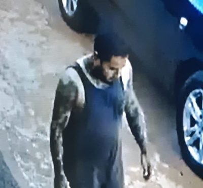 Cayó tilingo que torturó y abandonó a perrita