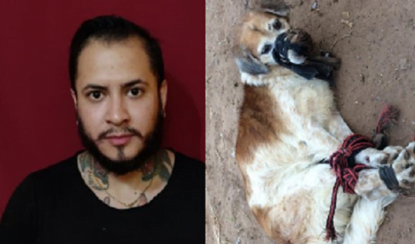 Detienen a hombre que ató y abandonó a un perrito - Noticiero Paraguay