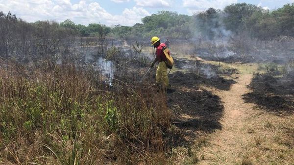 Jóvenes y bomberos arborizan zona afectada por incendio en Areguá - Nacionales - ABC Color
